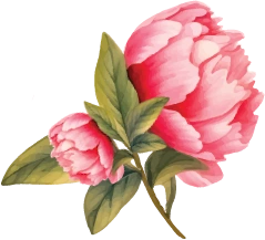 Hương hoa hạ
